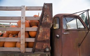 Truck full of pumpkins