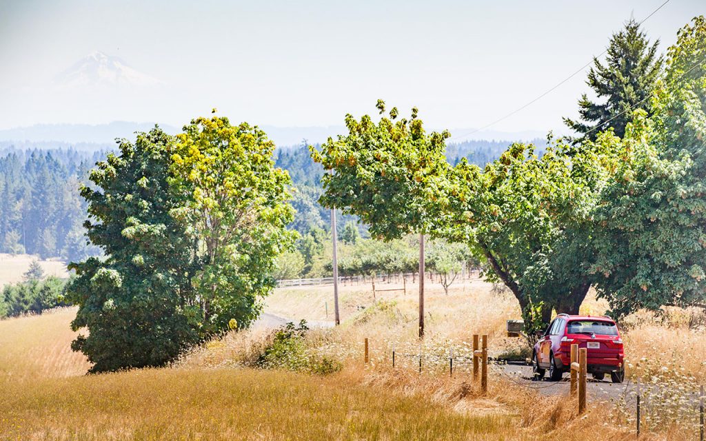 Red car on scenic country road