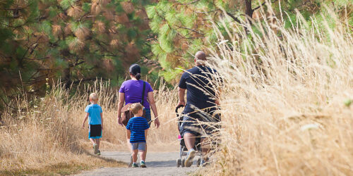 Cooper Mountain Nature Park