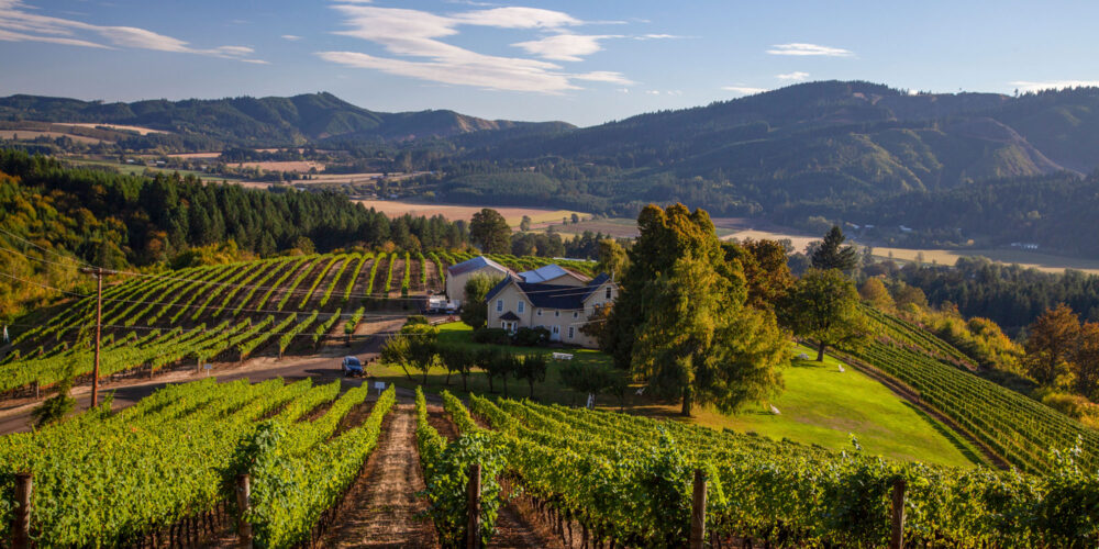 winery on rolling hills with a farm house in the back ground