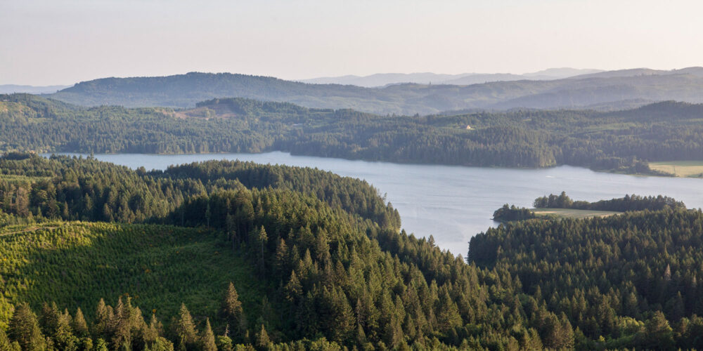 a arial view of a lake and woods