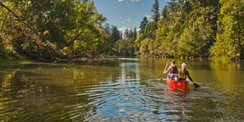 Oregon’s Trees To Sea Scenic Byway - Explore Tualatin Valley Oregon