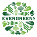 evergreens logo round 45A7DF1D 5056 A36A 07F70508B0E23FB8 45a7dded5056a36 45a7e765 5056 a36a 07e147707a82590d png