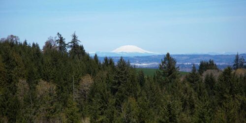 Chehalem Ridge Nature Park