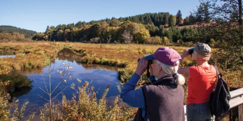 Killin Wetlands Nature Park