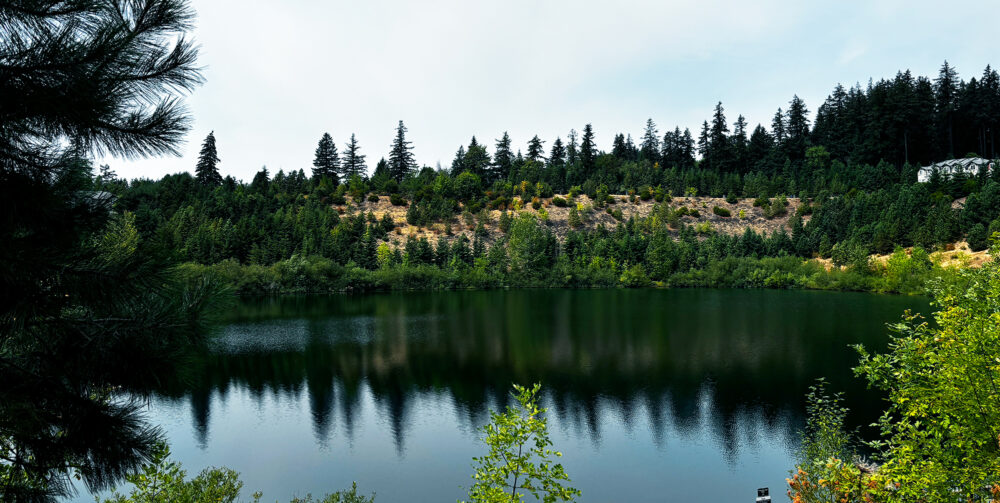 view of progress lake