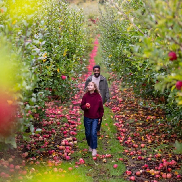 Embrace Cozy Season in Tualatin Valley! 

As the vibrant colors of autumn transition into the brisk embrace of winter, Tualatin Valley becomes a sanctuary of comfort and tranquility.

Nestled among rolling hills and lush vineyards, the valley takes on a special charm during "Cozy Season."

#TualatinValley #cozyseason #pnwlife