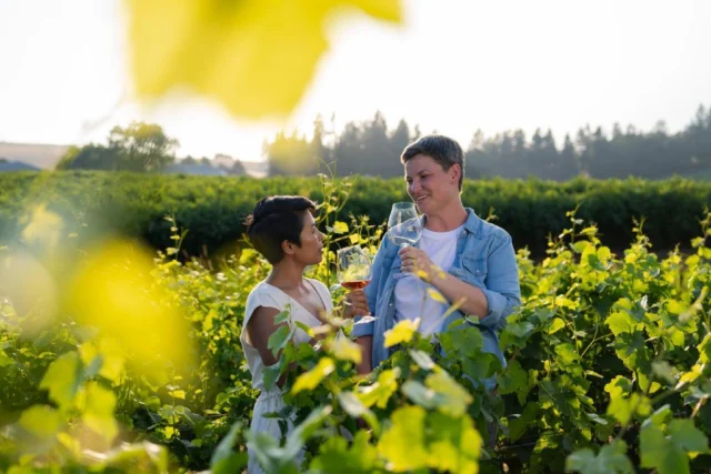 Transport yourself to Tuscan-inspired wineries just a short drive away from Portland! Tualatin Valley has stunning vineyards where you can enjoy tasting flights, lush gardens, indoor/outdoor seating and relax among the picturesque views ✨ 🍷 .

What are you waiting for? Come visit #TualatinValley! 

#winetasting #vineyards #wineries