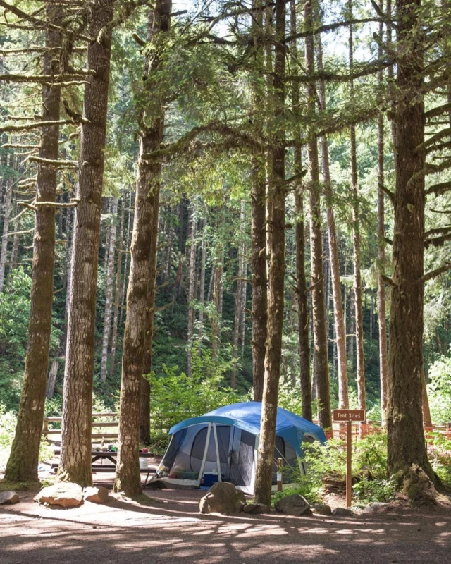 Whether you’re sleeping under the stars in your tent or cozying up in an RV, camping near Portland offers the perfect escape. 🌲⛺️ 
Set up camp near the Oregon Coast, explore the Tillamook State Forest, or enjoy the peaceful vibes of L.L. Stub Stewart State Park. With rustic campsites, cabins, and even urban RV parks, there’s a spot waiting for you! 

#TualatinValley #CampingNearPortland #ExploreOregon #pnwlife #outdoortravel