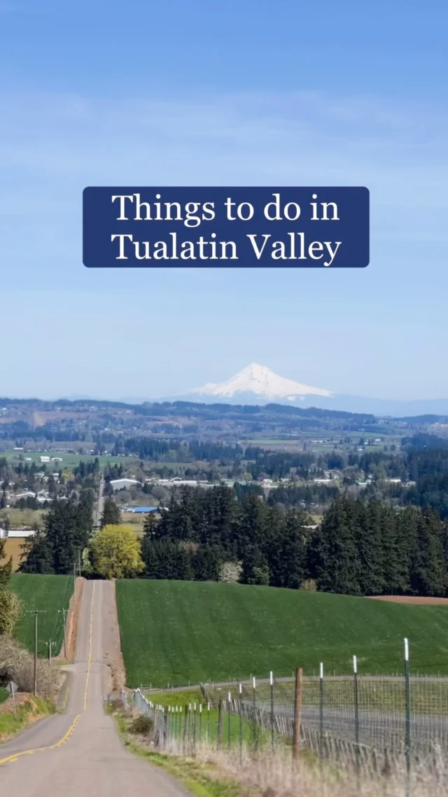 From alpacas to escape rooms and wine tasting, Tualatin Valley has so much to explore! Experience all these fun activities and more on your next trip to the valley. 

#tualatinvalley #thingstodoportland #alpacafarm #winetasting #pnw