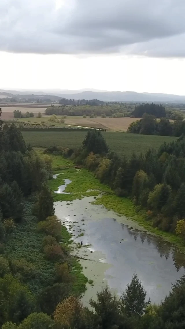 From hiking lush trails to kayaking on serene waters and sipping local brews, there’s something for everyone in Tualatin Valley. What’s your favorite outdoor activity?

#TualatinValley #pnw #thingstodoportland #hiking #birding #travelinspo #traveltok #pnw